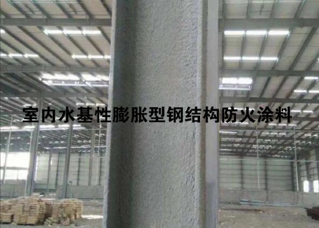 圖片3