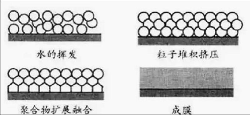 圖片3