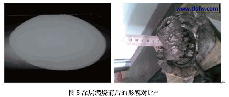 圖片11
