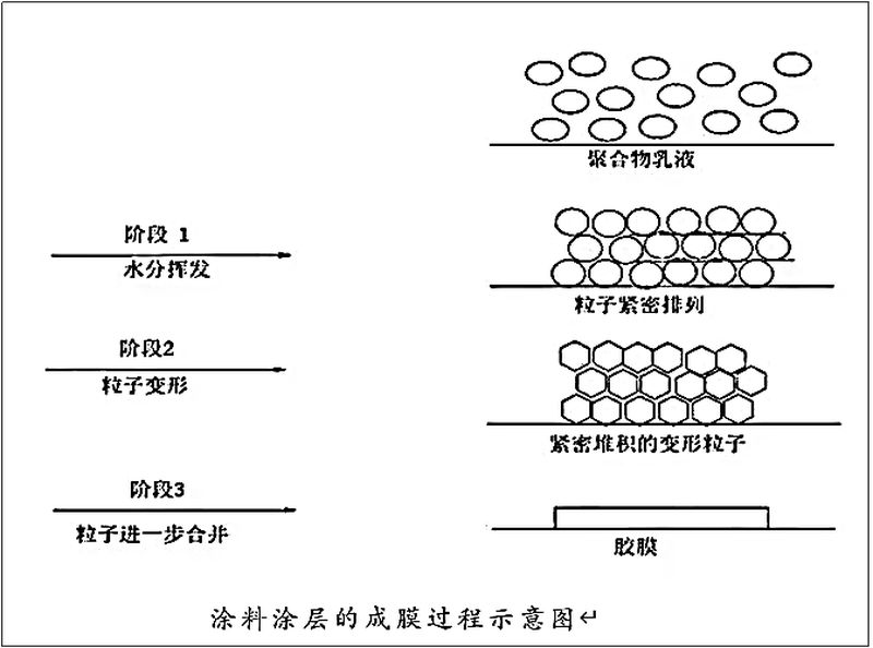 圖片2